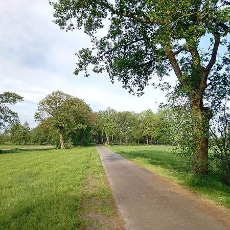 Ruim Huisje Op Een Prachtige Plek Hemrik 外观 照片