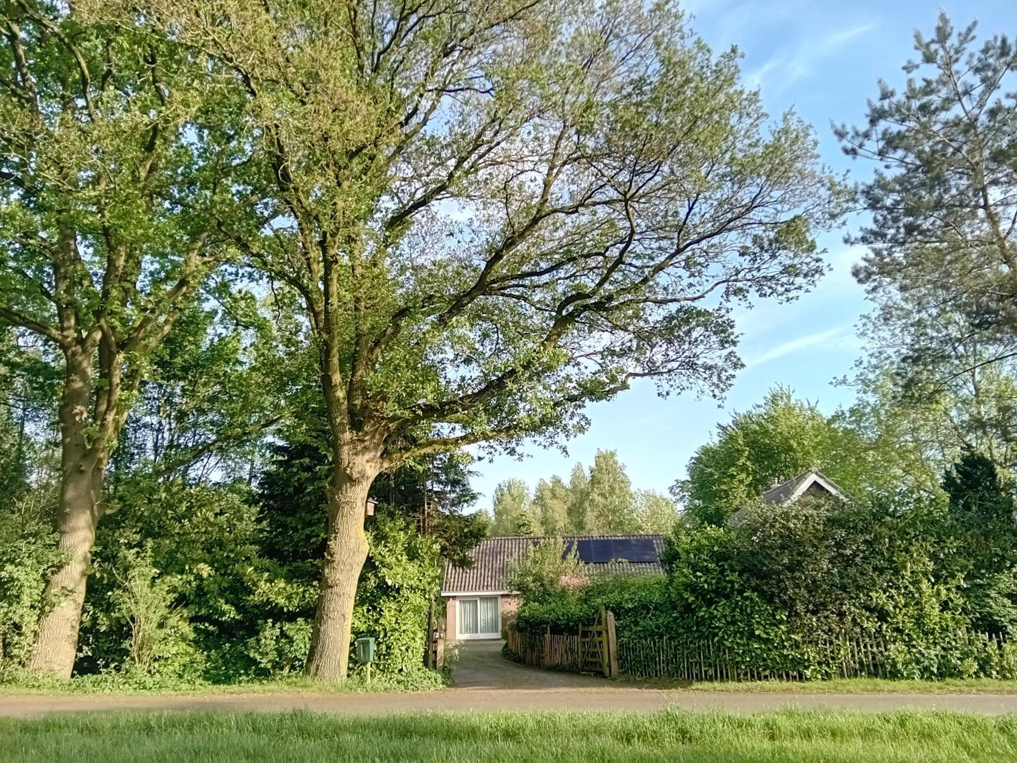 Ruim Huisje Op Een Prachtige Plek Hemrik 外观 照片